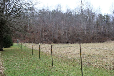 New Matamoras, OH Farmhouse on 10 acre hobby farm - image 15