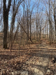 205 Acres Unrestircted Land for sale East Tennessee - image 23