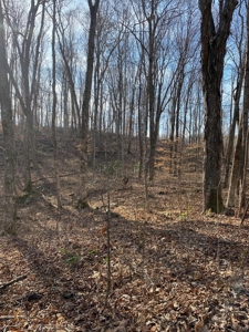 205 Acres Unrestircted Land for sale East Tennessee - image 24