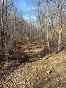 205 Acres Unrestircted Land for sale East Tennessee - image 17