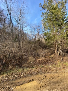 160 Acres Land for Sale in East Tennessee - image 8