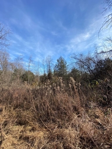 160 Acres Land for Sale in East Tennessee - image 9