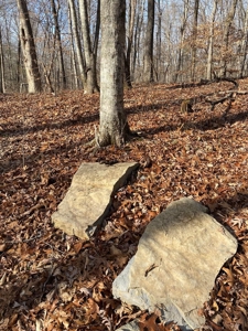 160 Acres Land for Sale in East Tennessee - image 22