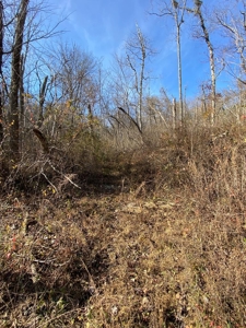160 Acres Land for Sale in East Tennessee - image 10