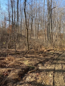 160 Acres Land for Sale in East Tennessee - image 19