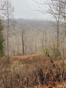 160 Acres Land for Sale in East Tennessee - image 4
