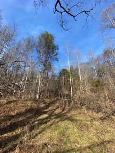 160 Acres Land for Sale in East Tennessee - image 14