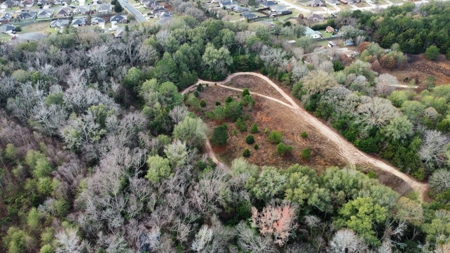 Flint TX Residential Development Land for Sale in Smith Co - image 9