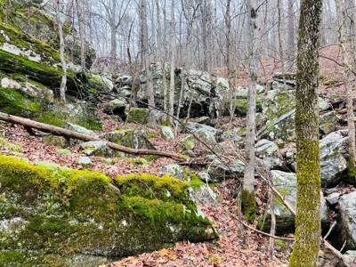 Land With Hunting Cabin For Sale In Melbourne, Arkansas - image 7