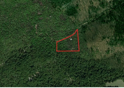 Land With Hunting Cabin For Sale In Melbourne, Arkansas - image 8