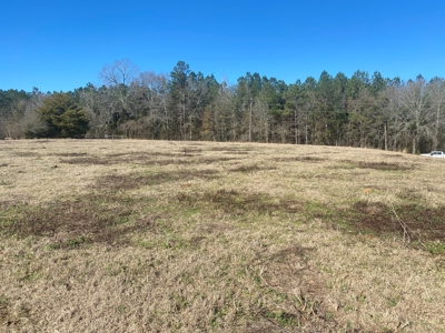 5 acre lot on County Road 6 in Pike County - image 1
