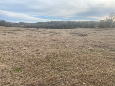5 acre lot on County Road 6 in Pike County - image 5