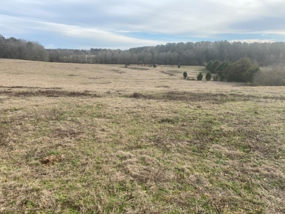 5 acre lot on County Road 6 in Pike County - image 7