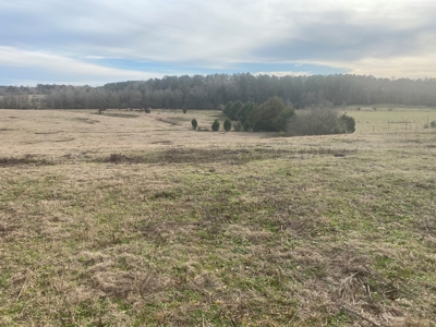 5 acre lot on County Road 6 in Pike County - image 6