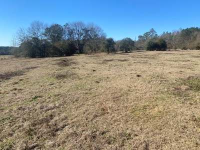 5 acre lot on County Road 6 in Pike County - image 2