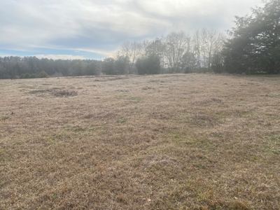 5 acre lot on County Road 6 in Pike County - image 4