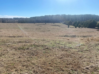5 acre lot on County Road 6 in Pike County - image 3
