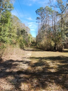 Award winning winery for sale with 20 acres in Florida - image 15