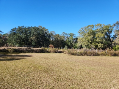 Award winning winery for sale with 20 acres in Florida - image 20