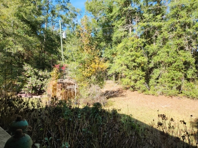 Award winning winery for sale with 20 acres in Florida - image 10