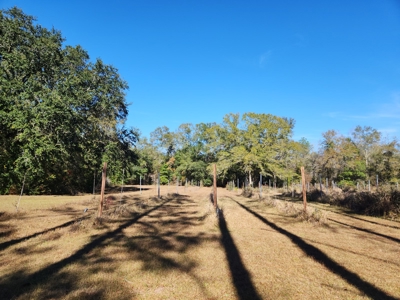 Award winning winery for sale with 20 acres in Florida - image 19
