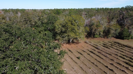 Award winning winery for sale with 20 acres in Florida - image 25