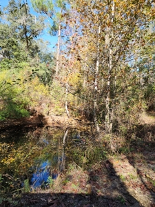 Award winning winery for sale with 20 acres in Florida - image 31