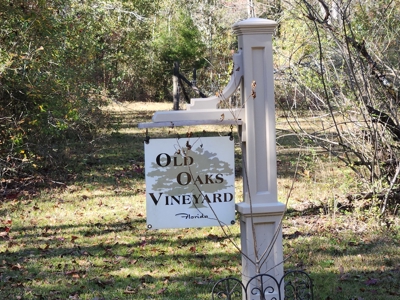 Award winning winery for sale with 20 acres in Florida - image 21