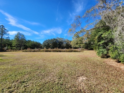 Award winning winery for sale with 20 acres in Florida - image 8