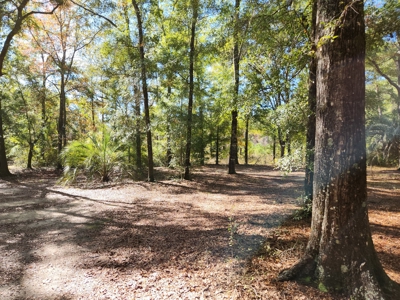 Award winning winery for sale with 20 acres in Florida - image 17
