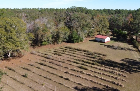 Award winning winery for sale with 20 acres in Florida - image 35