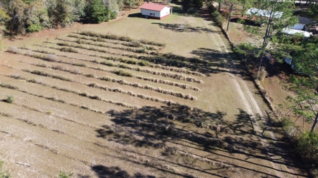 Award winning winery for sale with 20 acres in Florida - image 23