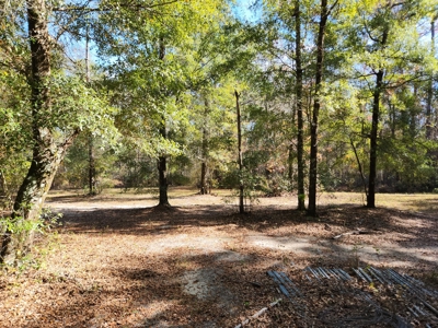 Award winning winery for sale with 20 acres in Florida - image 13