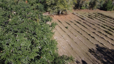 Award winning winery for sale with 20 acres in Florida - image 24