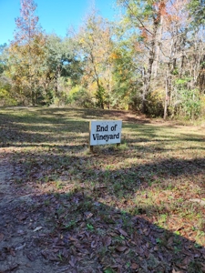 Award winning winery for sale with 20 acres in Florida - image 32