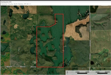 RealTree Hunting Property for Sale in Medina, ND! - image 1