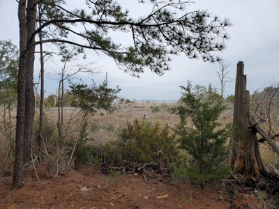 Development tract for sale in Sneads Ferry, NC - $899,000 - image 10