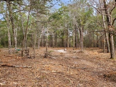 Development tract for sale in Sneads Ferry, NC - $899,000 - image 4