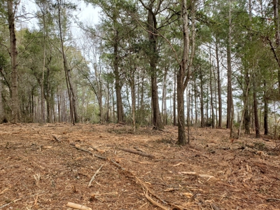 Development tract for sale in Sneads Ferry, NC - $899,000 - image 9