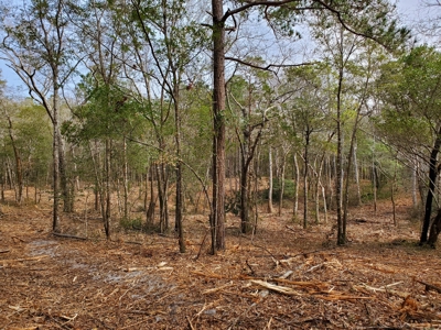 Development tract for sale in Sneads Ferry, NC - $899,000 - image 3