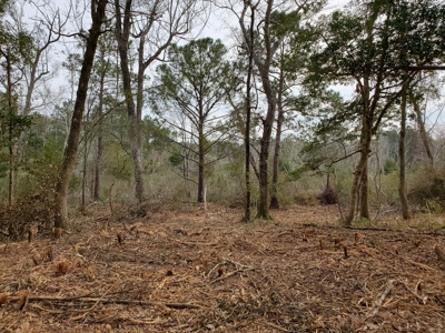 Development tract for sale in Sneads Ferry, NC - $899,000 - image 8