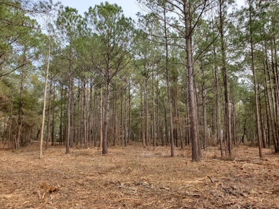 Development tract for sale in Sneads Ferry, NC - $899,000 - image 5