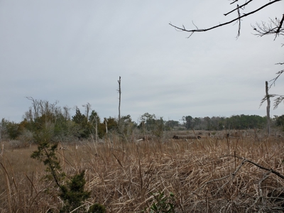 Development tract for sale in Sneads Ferry, NC - $899,000 - image 11