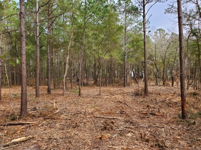 Development tract for sale in Sneads Ferry, NC - $899,000 - image 7