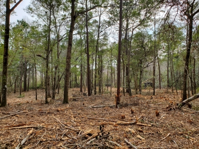 Development tract for sale in Sneads Ferry, NC - $899,000 - image 6