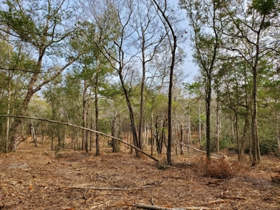 Development tract for sale in Sneads Ferry, NC - $899,000 - image 2
