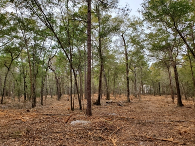 Development tract for sale in Sneads Ferry, NC - $899,000 - image 12
