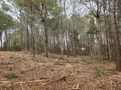 Development tract for sale in Sneads Ferry, NC - $899,000 - image 13