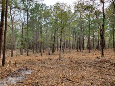 Development tract for sale in Sneads Ferry, NC - $899,000 - image 14