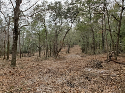 Development tract for sale in Sneads Ferry, NC - $899,000 - image 15